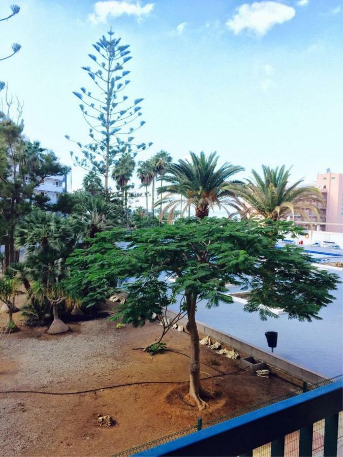 Enjoy The Sea And Pool In Playa De Las Americas Bagian luar foto
